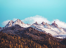 【夜读】特谢拉入籍安家费8000万欧